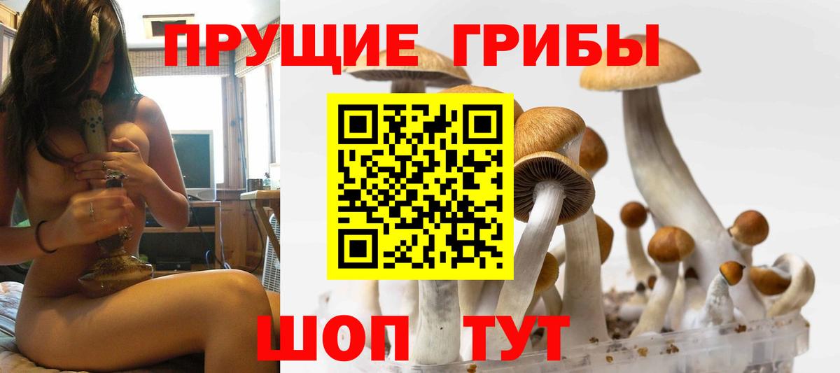 Галлюциногенные грибы прущие грибы  Псилоцибиновые грибы GOLDEN TEACHER  Барнаул  Вход с VPN 