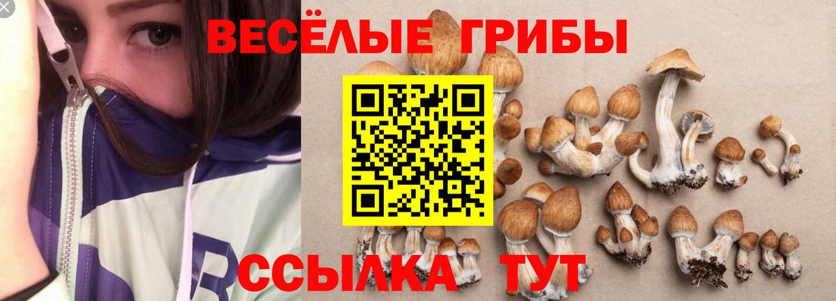 Псилоцибиновые грибы ЛСД Барнаул